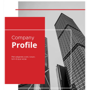 Company Profiles for Professional