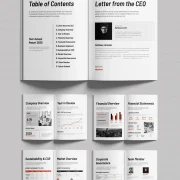 Editable Corporate Annual Report Design Layout