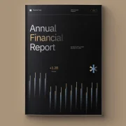 Dark Gradient Annual Financial Report