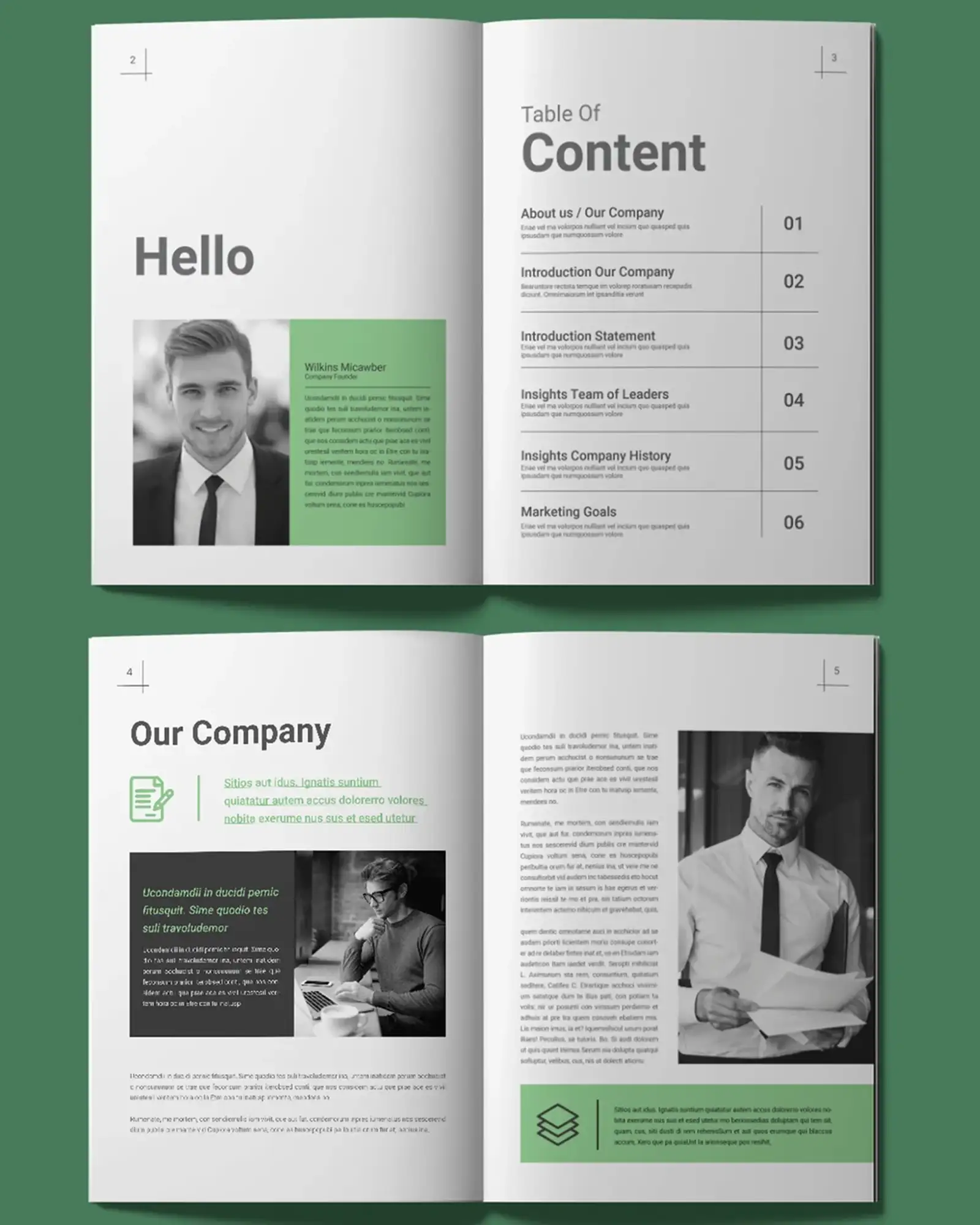 Company Annual Report