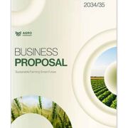 Business Proposal Template