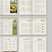 Business Proposal Template