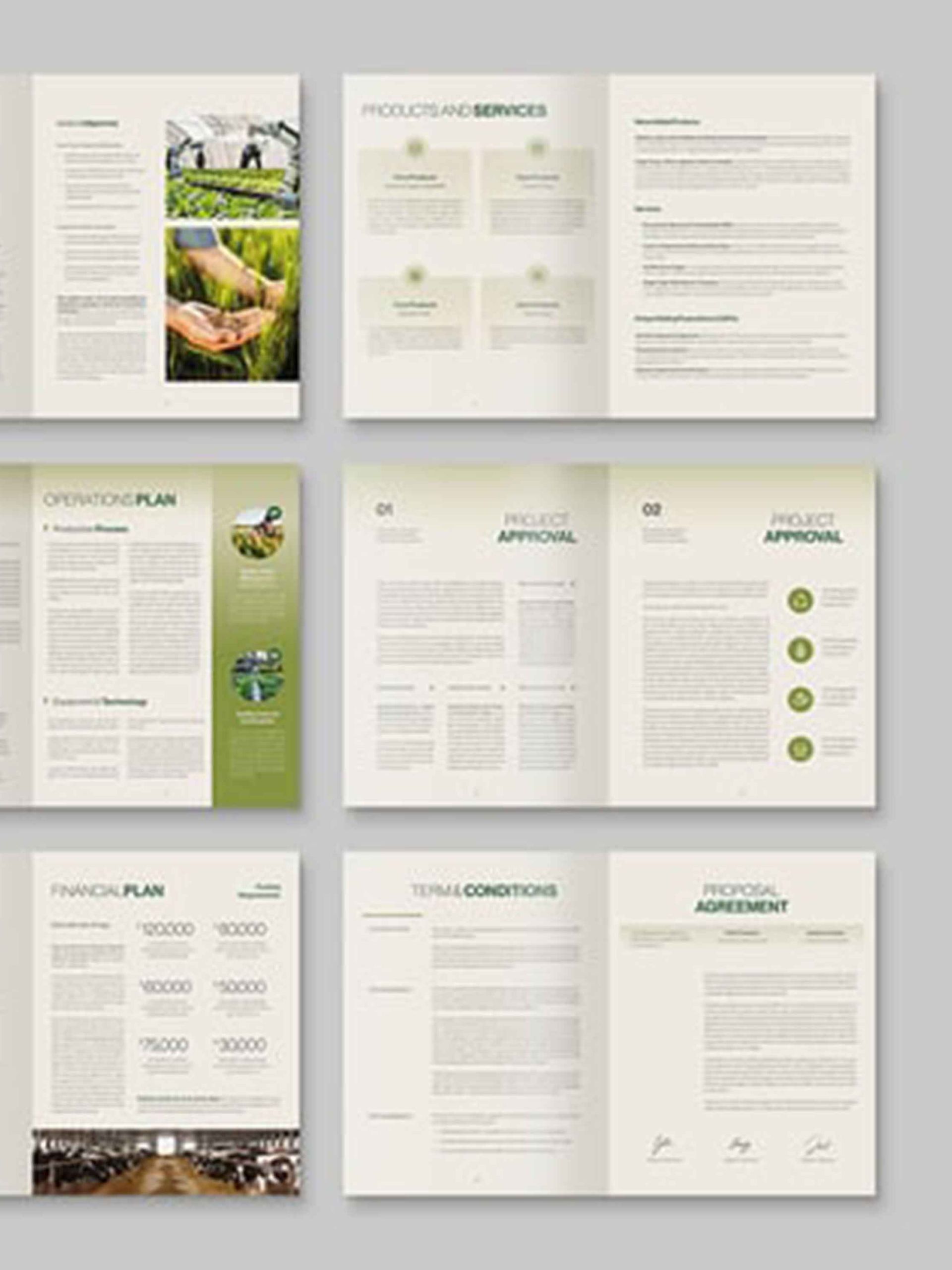 Business Proposal Template