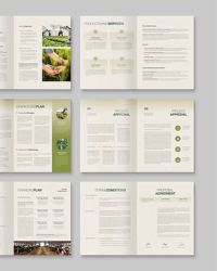 Business Proposal Template
