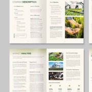Business Proposal Template