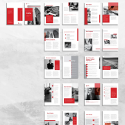 Company Profiles for Professional