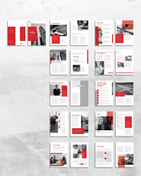 Company Profiles for Professional