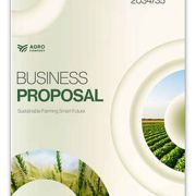 Business Proposal Template