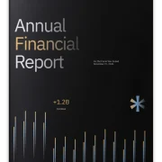 Dark Gradient Annual Financial Report