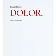 Elegant Annual Report Template