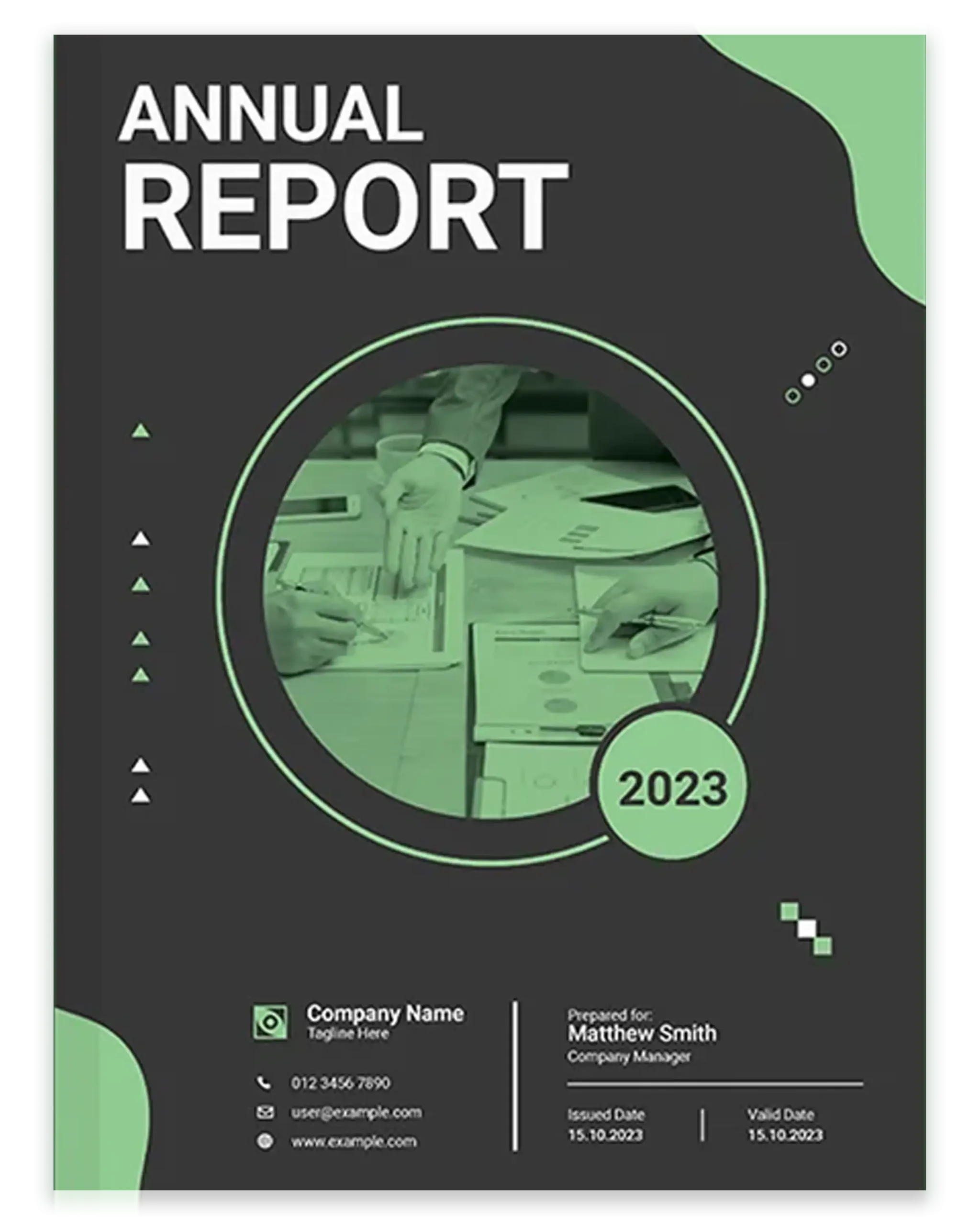 Company Annual Report